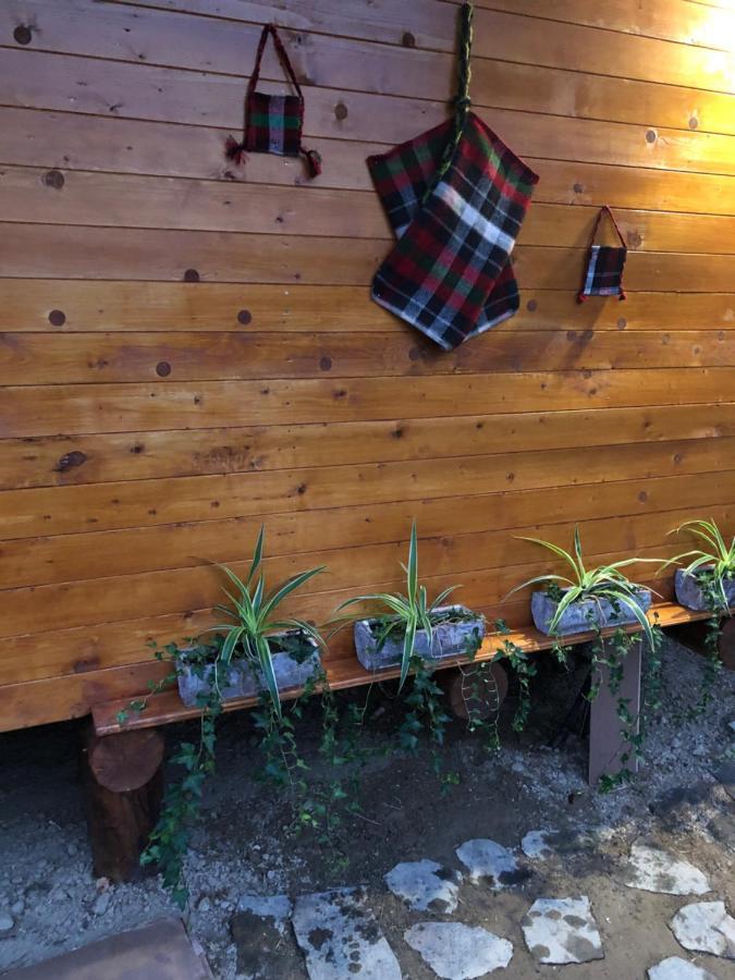 Domeniul Horj Casa Din Deal Moisei Exteriör bild