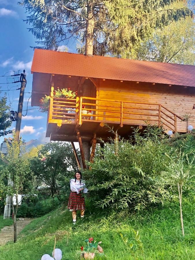 Domeniul Horj Casa Din Deal Moisei Exteriör bild