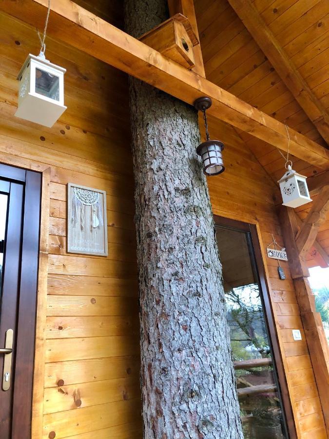 Domeniul Horj Casa Din Deal Moisei Exteriör bild