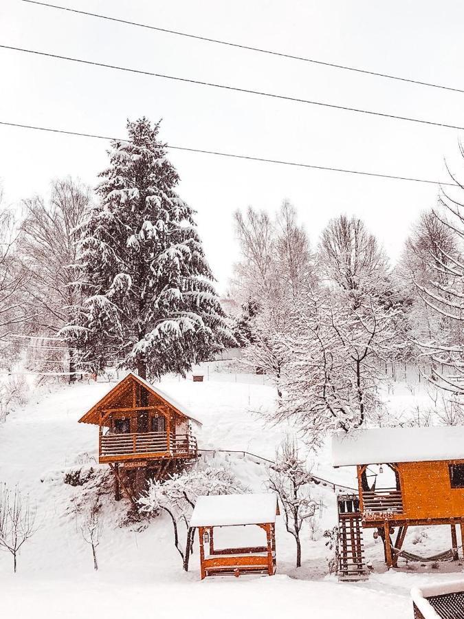 Domeniul Horj Casa Din Deal Moisei Exteriör bild